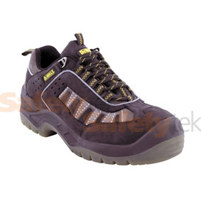 Dewalt Trainer 2 Safety Trainer