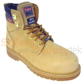 TC60A Tomcat Montana up to size 16